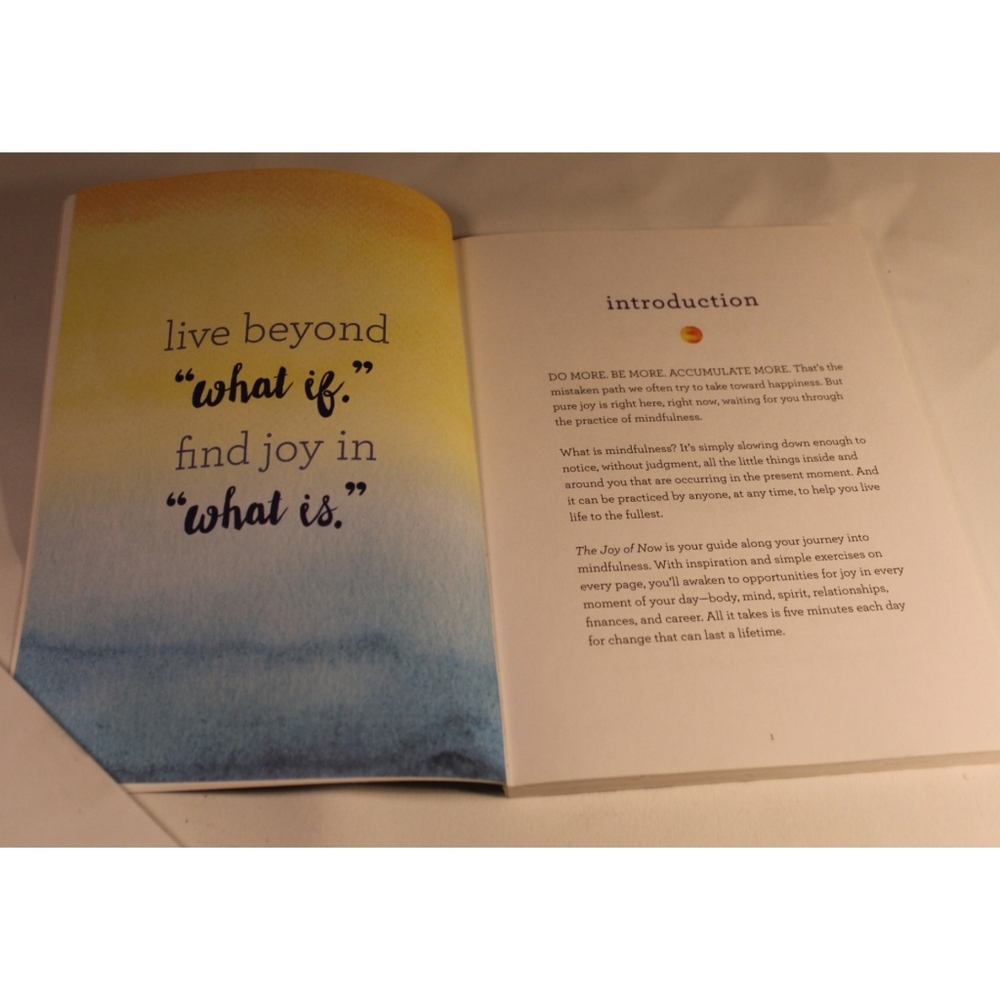 The Joy Of Now Journal - Picture 12 of 16
